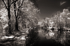 Canal View